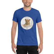 Lion Taras Short sleeve T-shirt