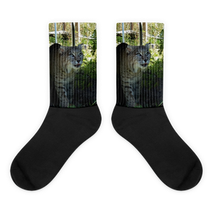 Bobcat Bella Socks