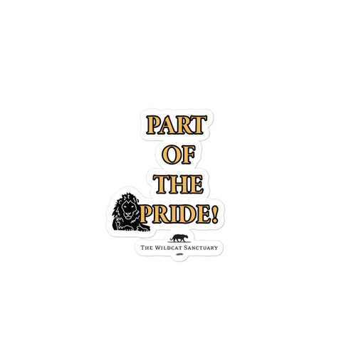 Monthly Pride Bubble-Free Stickers