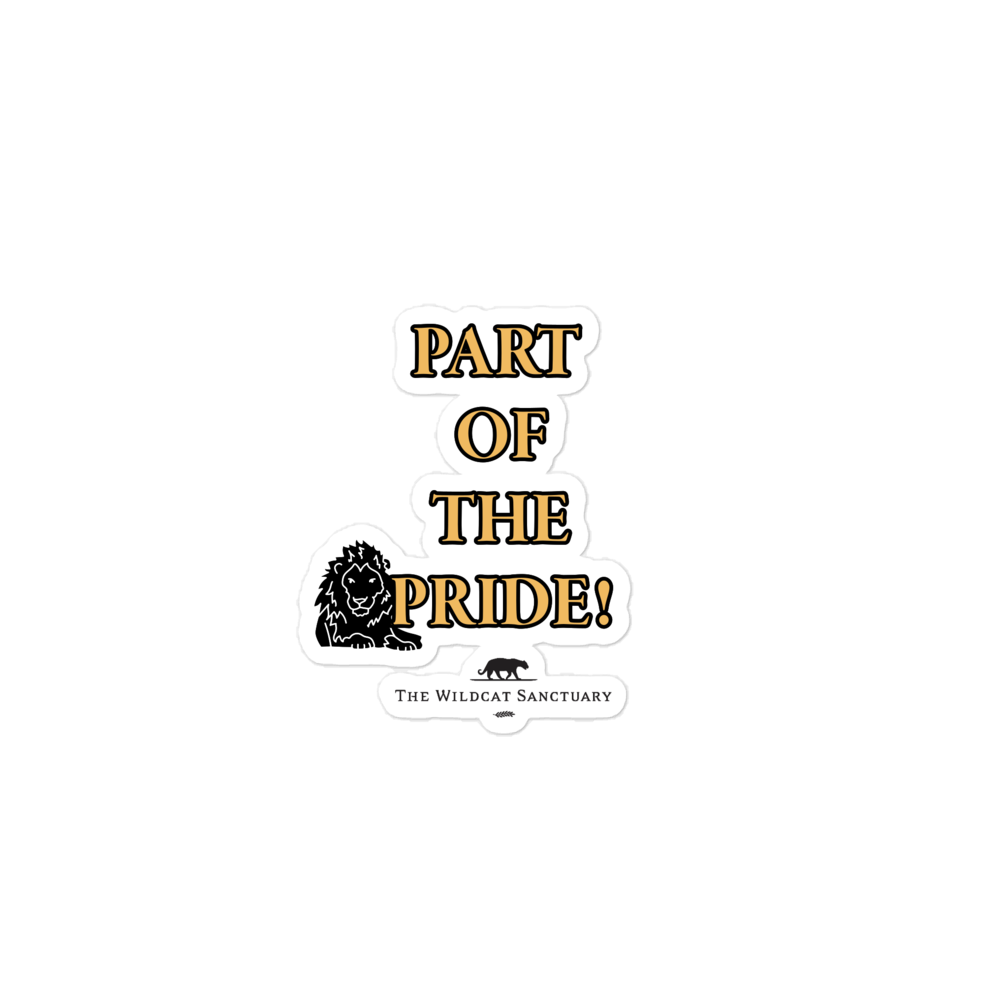 Monthly Pride Bubble-Free Stickers