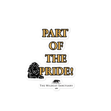 Monthly Pride Bubble-Free Stickers