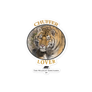 Chuffer Lover Bubble-Free Stickers