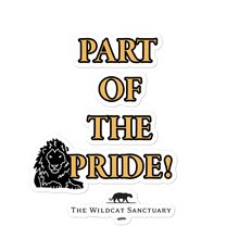 Monthly Pride Bubble-Free Stickers