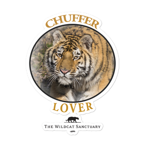 Chuffer Lover Bubble-Free Stickers