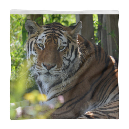 Tigress Ekaterina Square Pillow Case only