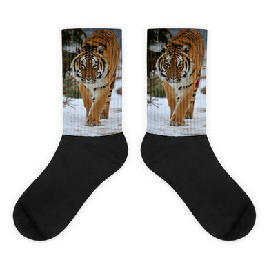 Tiger Dimitri Socks