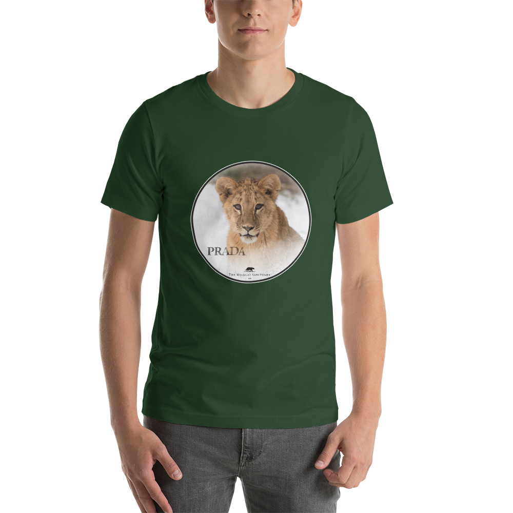 loin. standard Tシャツ 楽天市場】シンゾーン THE SHINZONE ワイルド パーク ツアー T